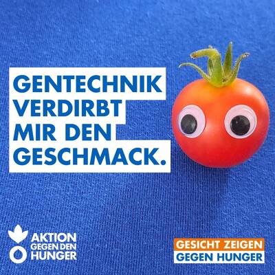 Zum Beitrag auf Instagram. 18037633207882496