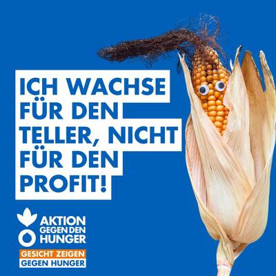 Zum Beitrag auf Instagram. 18056953024833229