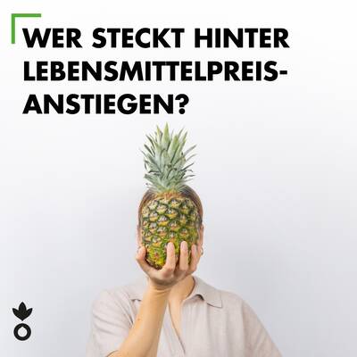 Zum Beitrag auf Instagram. 18064183507708727