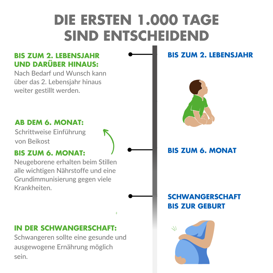 Grafik zur Ernährung von Schwangerschaft bis zweitem Lebensjahr des Kindes Grafik über die Ernährung von Baby bzw. Kleinkind sowie stillendem Elternteil während der ersten tausend Tage