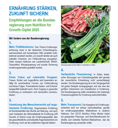 Ernährung stärken, Zukunft sichern: Empfehlungen an die Bundesregierung zum Nutrition for Growth-Gipfel 2025