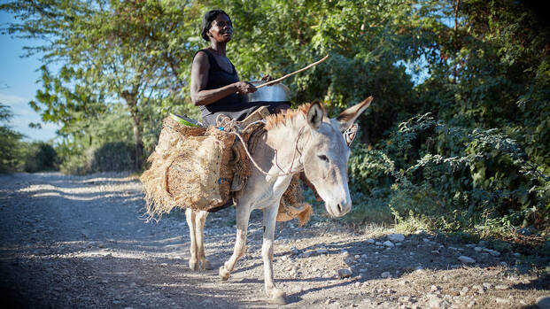 Frau reitet auf einem Esel in Haiti.