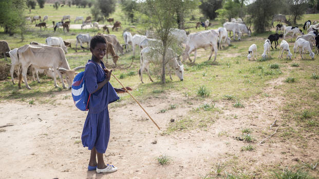 Junge in Mauretanien hütet Rinder.