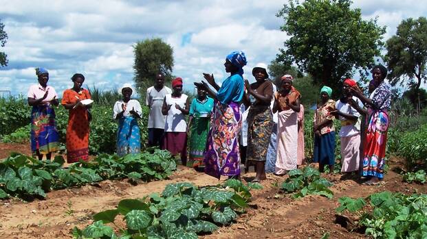Eine Gruppe Menschen bespricht sich in Simbabwe auf einem Feld.