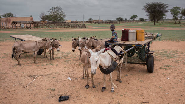 Junge in Senegal sitzt auf einem Karren.