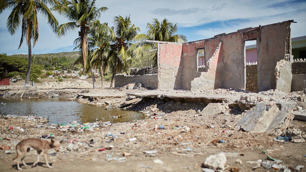 Situation nach Erdbeben in Haiti
