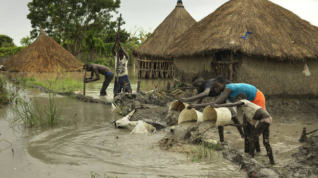 Flut im Südsudan: Eine Familie versucht, mit Eimern das Flutwasser aus dem Dorf vor einen selbstgebauten kleinen Staudamm zu schöpfen.