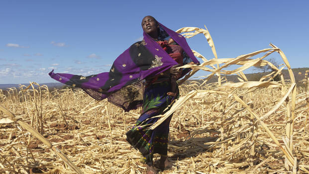 Loko aus Äthiopien steht mit ihrem Baby im Arm auf dem durch Dürre zerstörten Maisfeld.