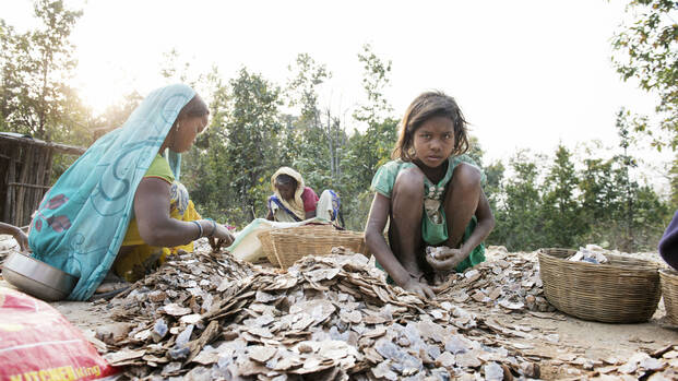 Kinderarbeit in Indien: Drei Kinder sitzen zwischen Steinen und Körben, um das Mineral Mica zu sortieren.
