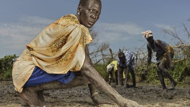 Reisanbau Südsudan
