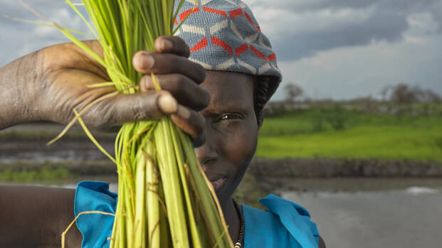 Eine Frau aus dem Südsudan hält geerntete Reispflanzen in die Kamera und verdeckt damit ihr halbes Gesicht.