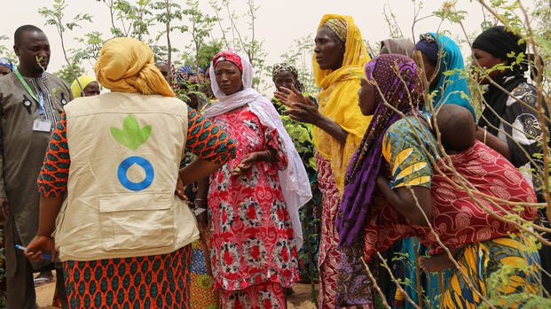 Frauen aus dem Niger sprechen mit zwei Mitarbeitenden von Aktion gegen den Hunger.