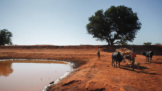 Kinder mit einem Eselskarren stehen neben einem Wasserloch in Madagaskar.