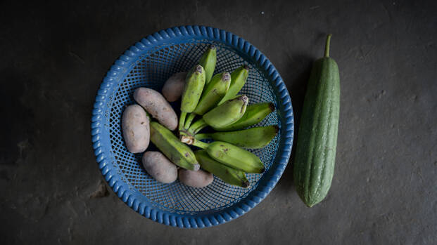 Kochbananen, Süßkartoffeln und eine Zucchini aus dem Gemüsegarten von Sarasati in Bangladesch. 