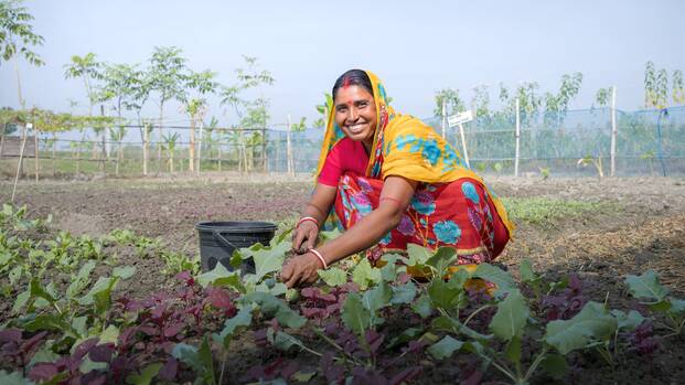 Rekha Rani Sarker arbeitet in ihrem Gemüsegarten in Satkhira, Bangladesch, und setzt klimaresiliente Anbaumethoden um.