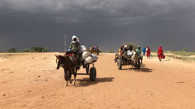 Grenzübergang zwischen Sudan und Tschad: Im Sudan hat sich die größte Geflüchtetenkrise der Welt entwickelt – viele flüchten in den Tschad.