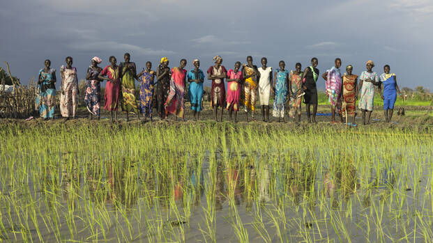 Mehrere Menschen stehen neben einem Reisfeld in Südsudan, das sie bepflanzt haben.
