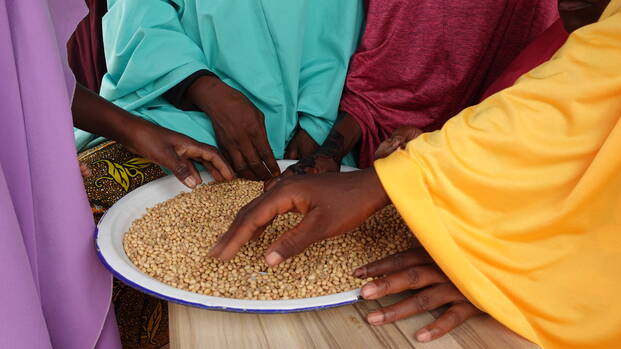 Frauen aus der Gemeinde Dabaga im Bundesstaat Sokoto, Nigeria, bereiten während einer Kochsession einen nahrhaften Brei zu, um die Genesung von Kindern zu unterstützen.