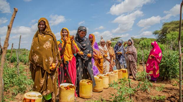 Titel Jahresbericht 2025: Frauen von der Habsa Farm in Kenia